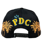 DISTRICT PDC