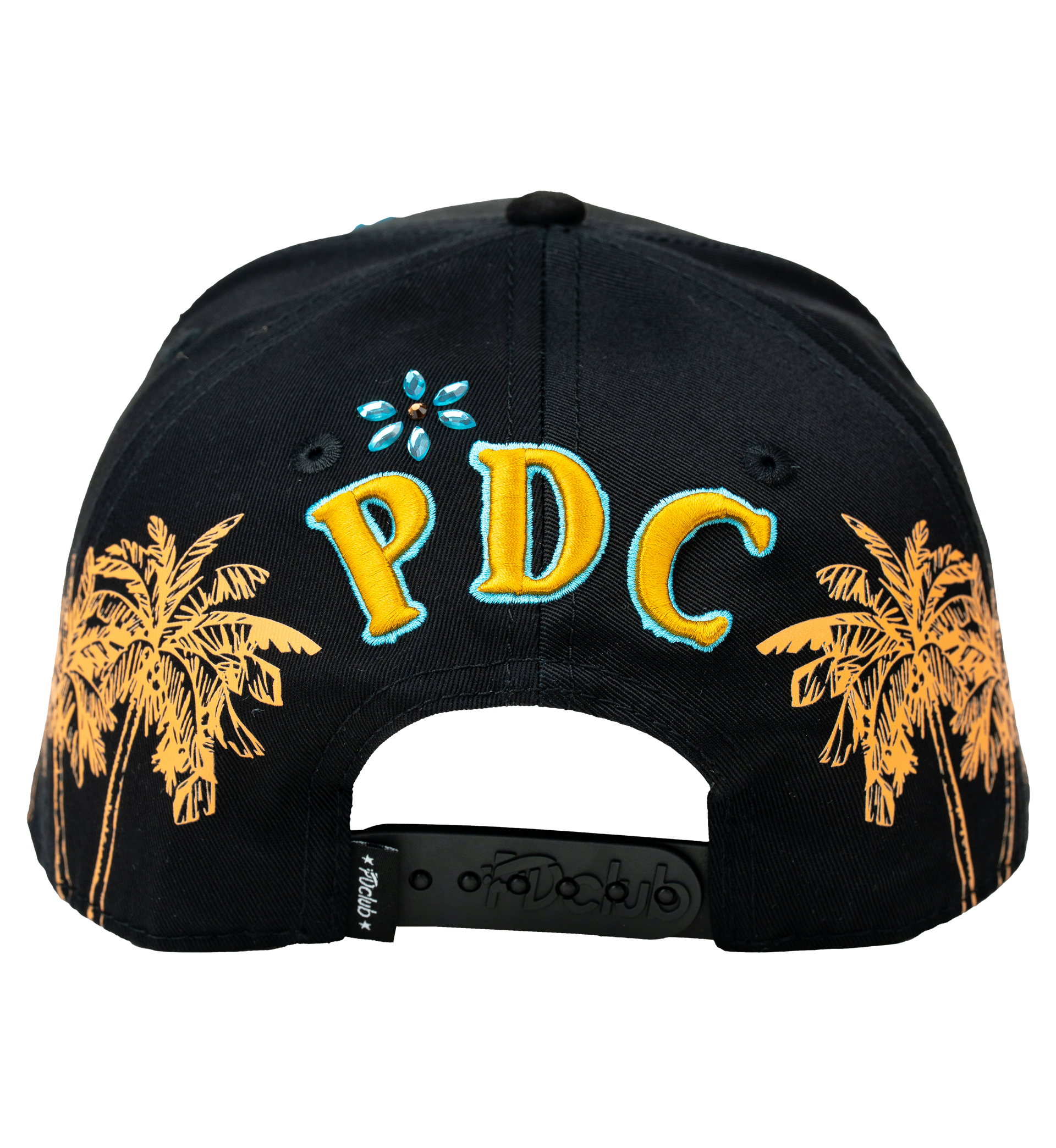 DISTRICT PDC